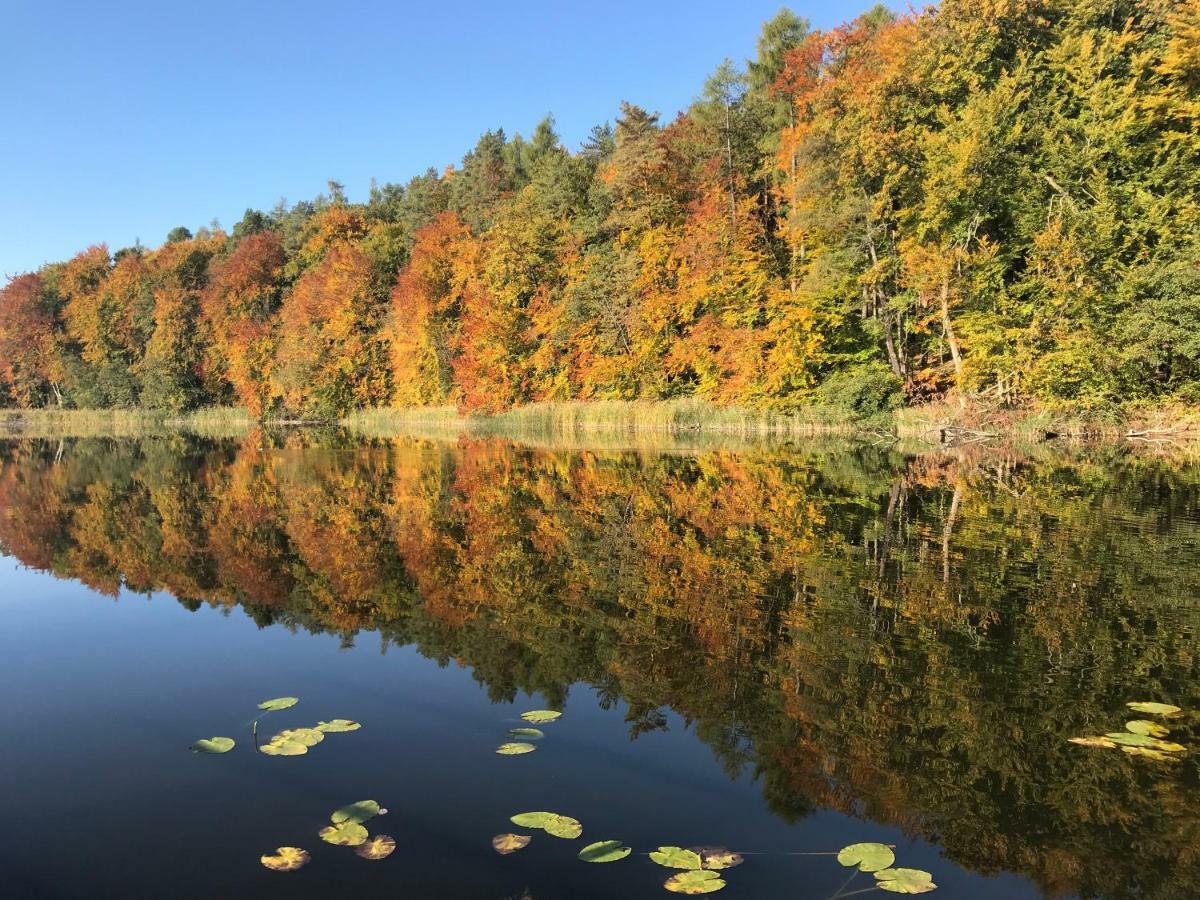 Ferienhaus Im Fischersteig Wustrow  Esterno foto